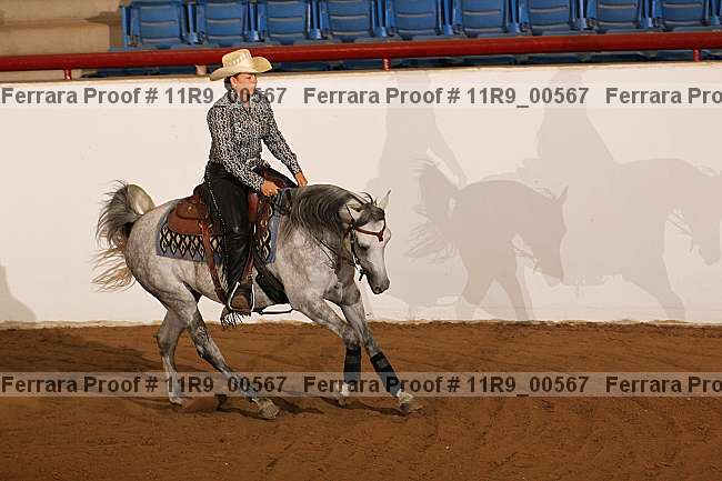 Proof 11r9_00567