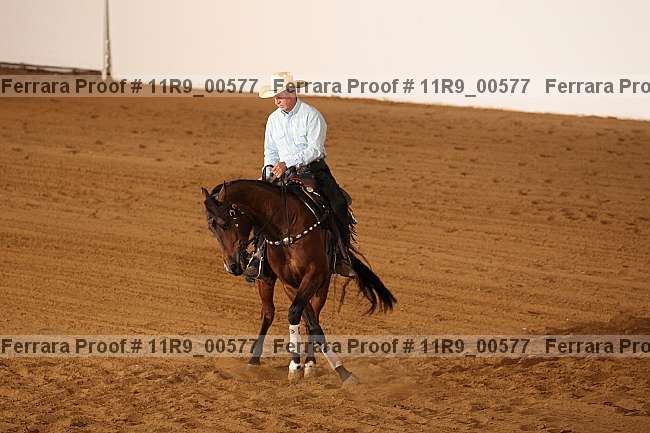 Proof 11r9_00577