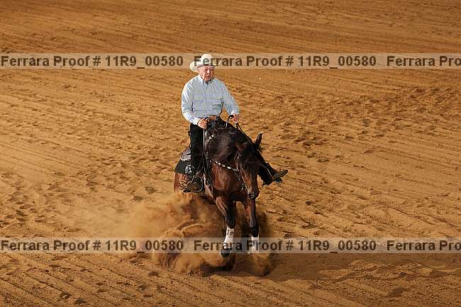 Proof 11r9_00580