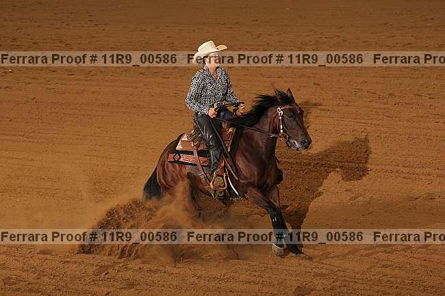 Proof 11r9_00586