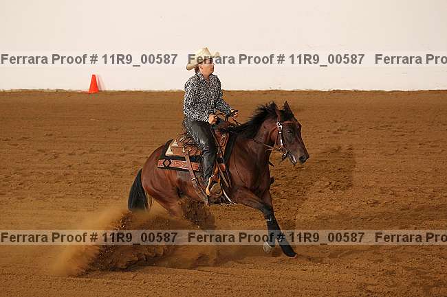 Proof 11r9_00587