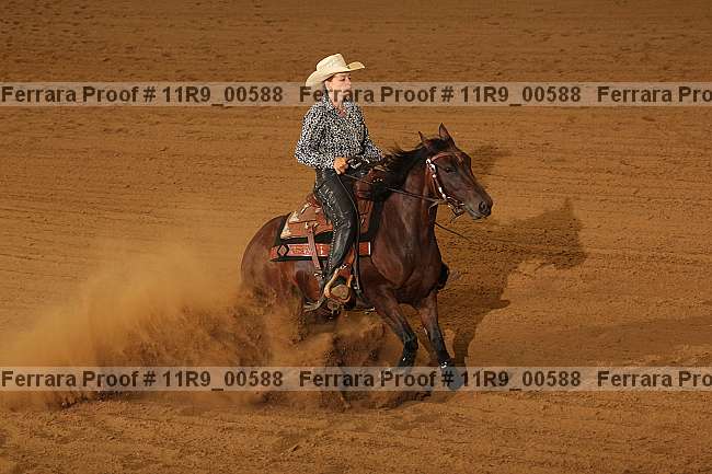 Proof 11r9_00588