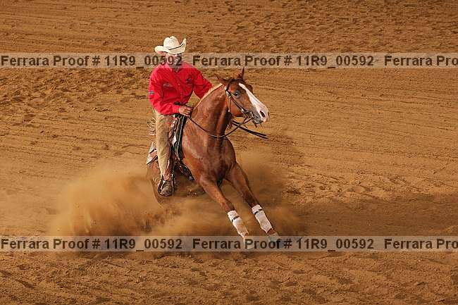 Proof 11r9_00592
