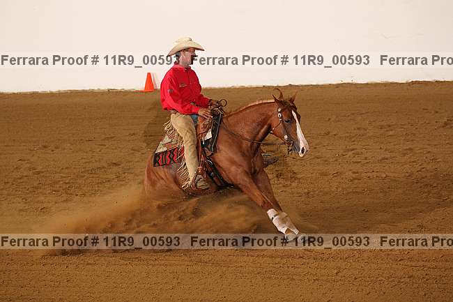 Proof 11r9_00593