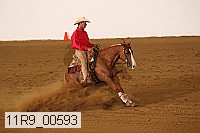 11r9_00593 proof