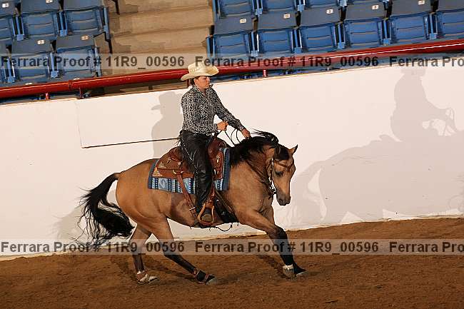 Proof 11r9_00596