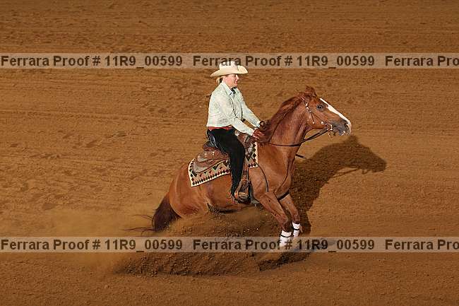 Proof 11r9_00599