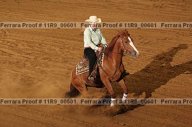 Proof 11r9_00601