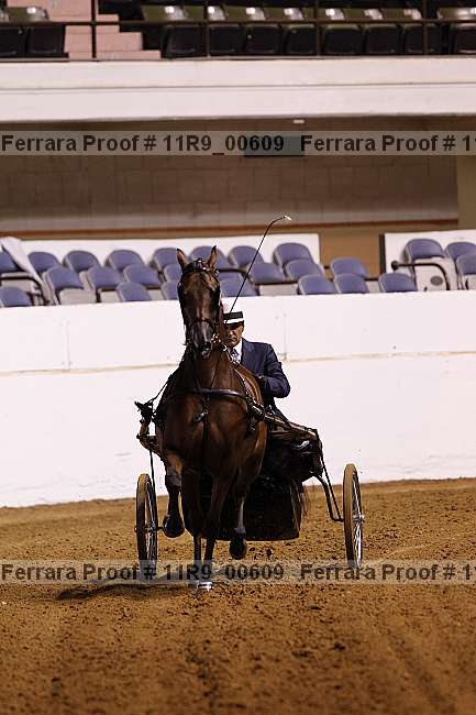 Proof 11r9_00609
