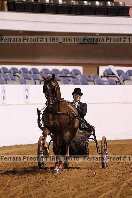 Proof 11r9_00610