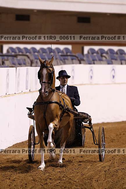 Proof 11r9_00611