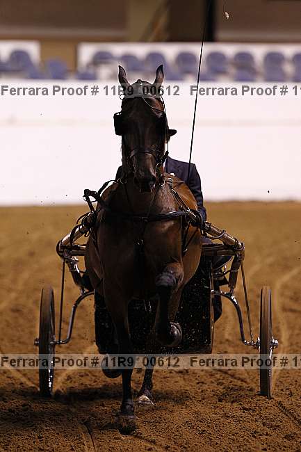 Proof 11r9_00612