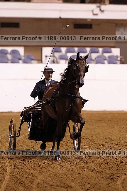 Proof 11r9_00613