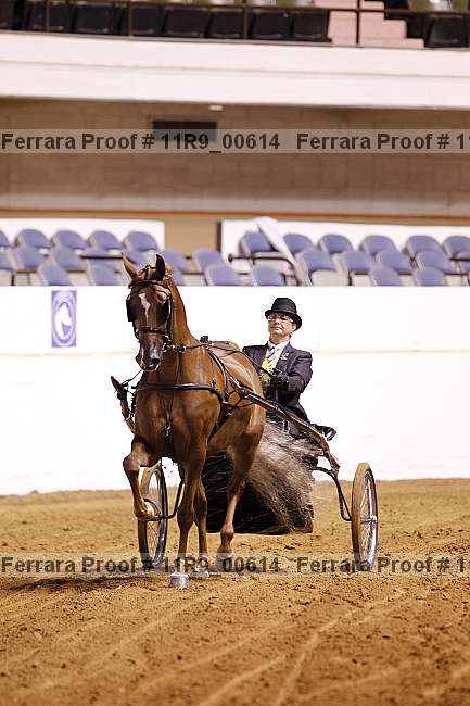 Proof 11r9_00614