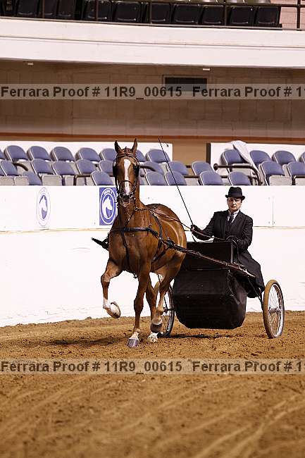 Proof 11r9_00615