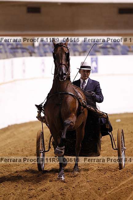 Proof 11r9_00616