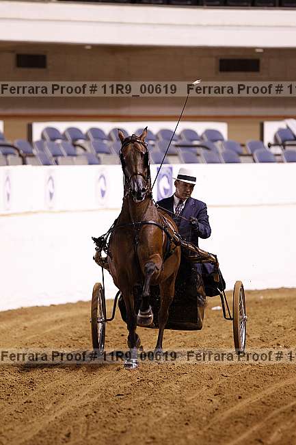 Proof 11r9_00619