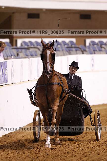 Proof 11r9_00625