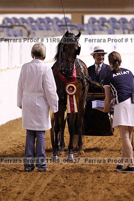 Proof 11r9_00637