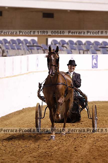Proof 11r9_00640
