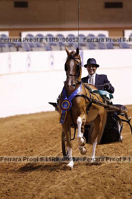 Proof 11r9_00652