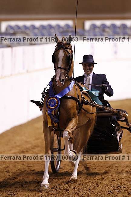 Proof 11r9_00653