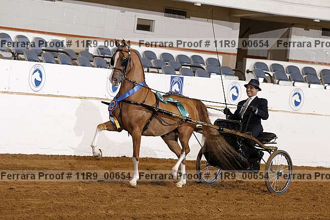 Proof 11r9_00654
