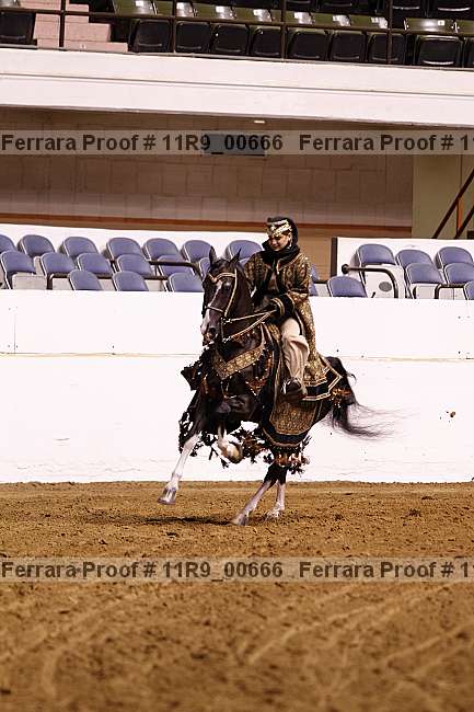 Proof 11r9_00666