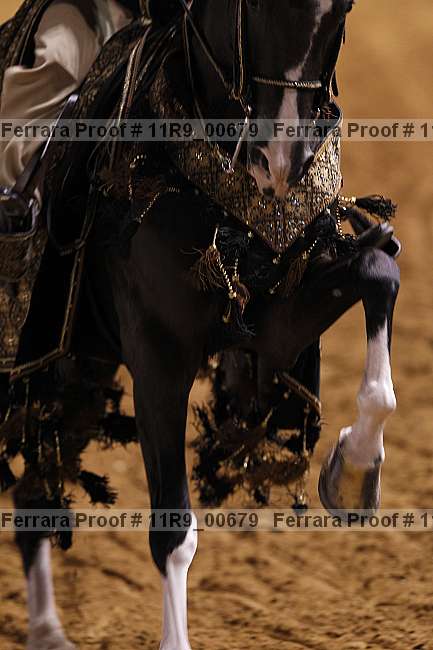 Proof 11r9_00679