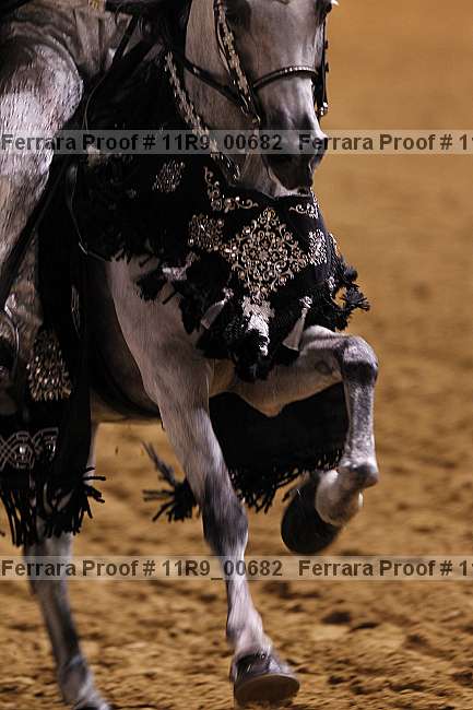 Proof 11r9_00682