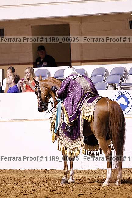 Proof 11r9_00695