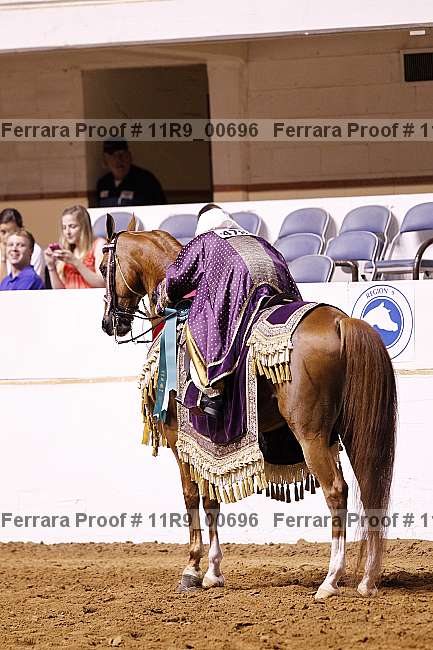 Proof 11r9_00696