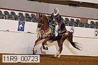 11r9_00723 proof