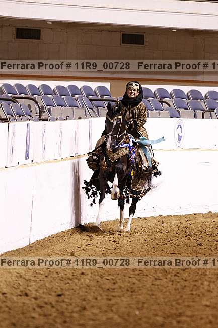Proof 11r9_00728