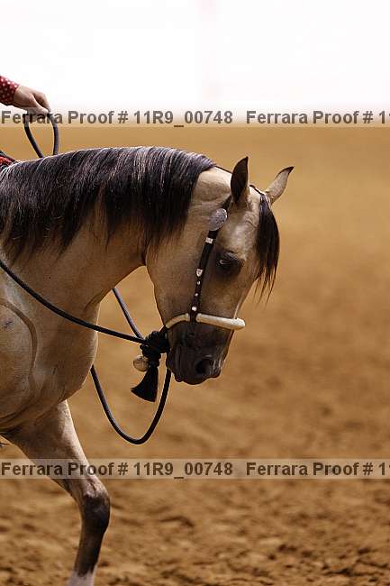 Proof 11r9_00748