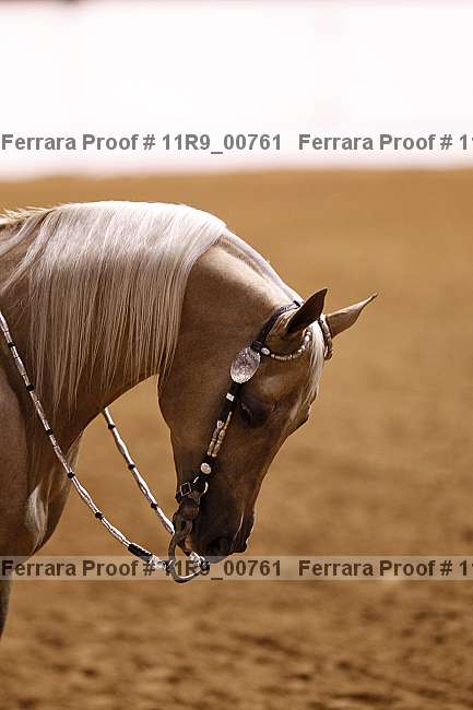 Proof 11r9_00761