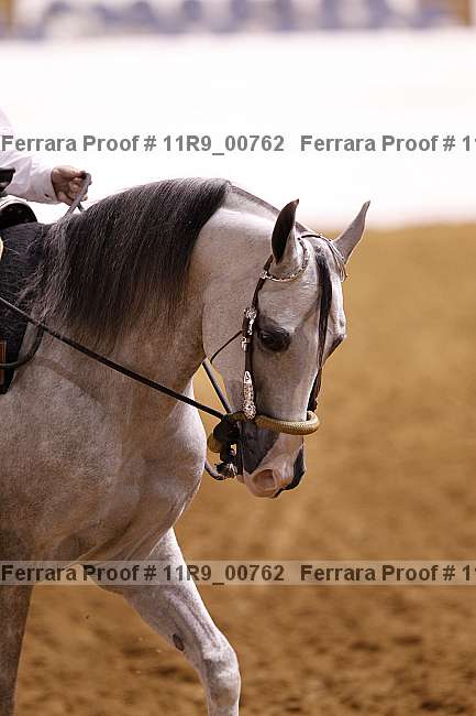 Proof 11r9_00762