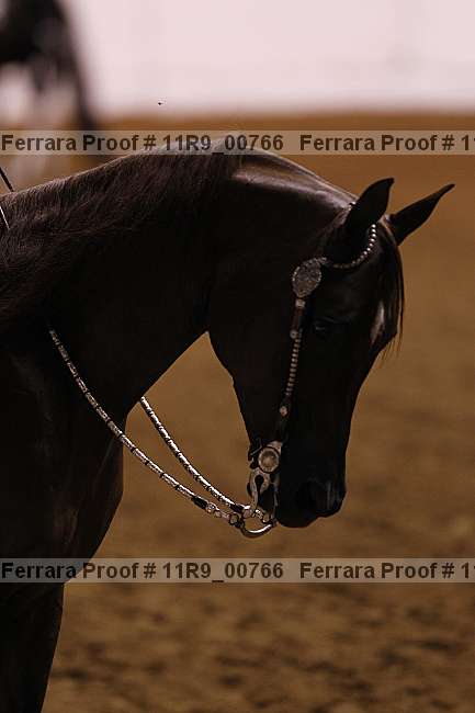 Proof 11r9_00766
