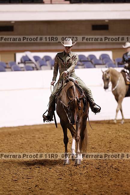 Proof 11r9_00773