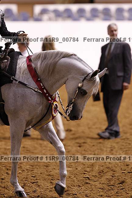 Proof 11r9_00784