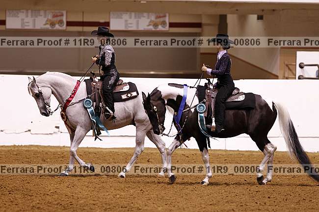 Proof 11r9_00806