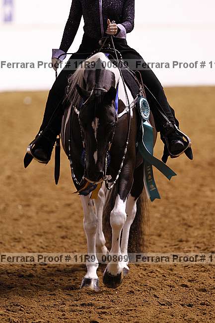 Proof 11r9_00809