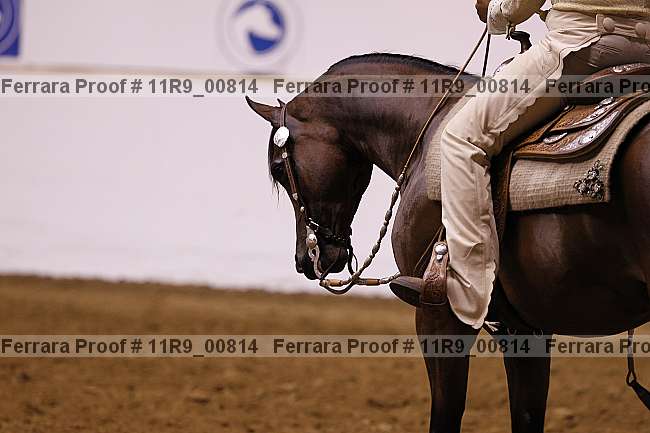 Proof 11r9_00814