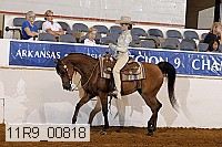 11r9_00818 proof