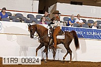 11r9_00824 proof