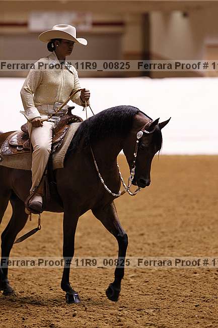 Proof 11r9_00825