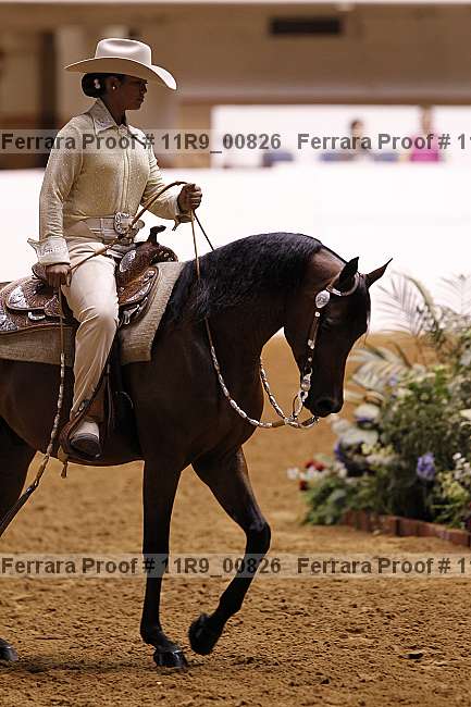 Proof 11r9_00826