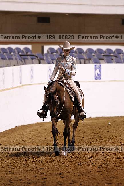 Proof 11r9_00828