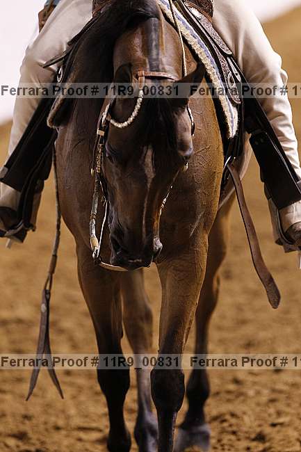 Proof 11r9_00831