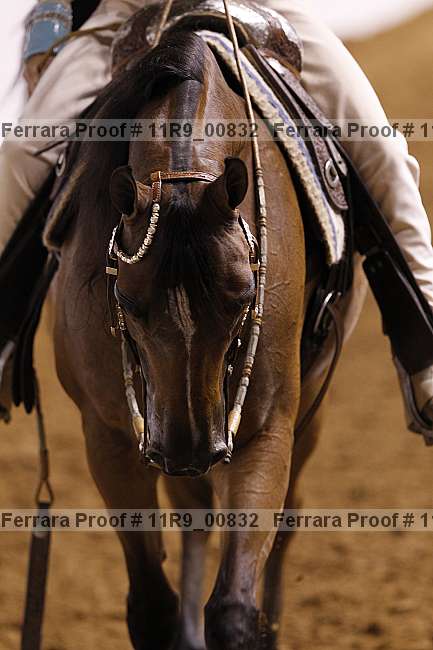 Proof 11r9_00832